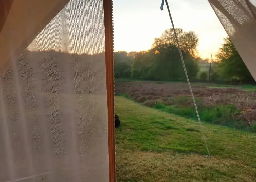 Vue du soir depuis une tente bell à Fern Fields