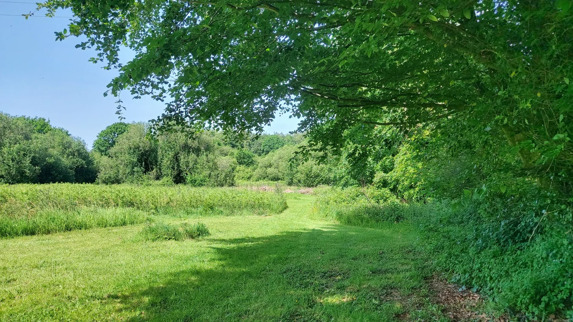 Campagne autour de Fern Fields en Normandie