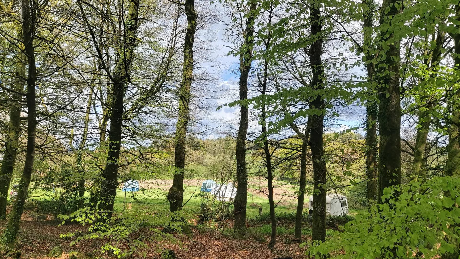Motorhome & Caravan Hardstanding