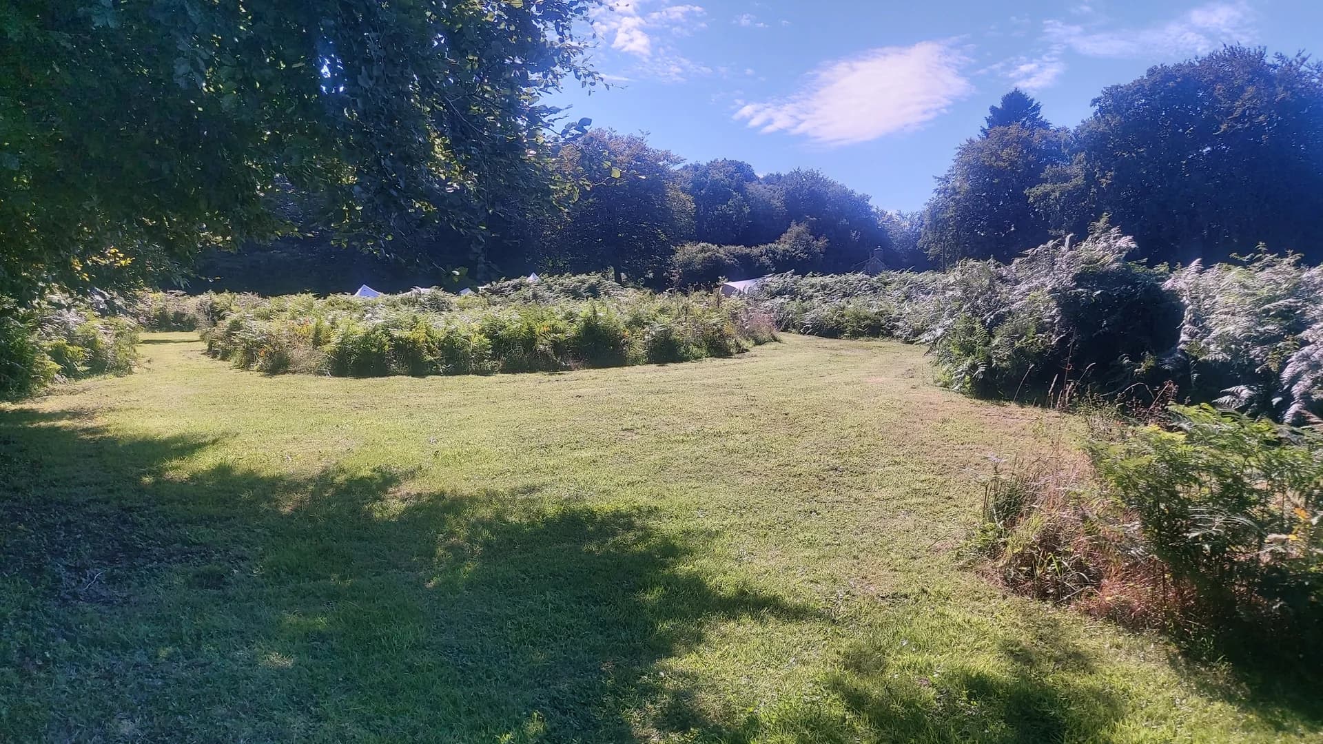 Green grounds, ferns and tents at Fern Fields in Normandy